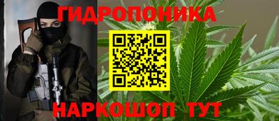 скорость Гатчина