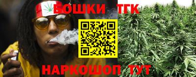 гидропоника Гагарин