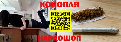крисы Гай