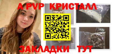 крисы Гай