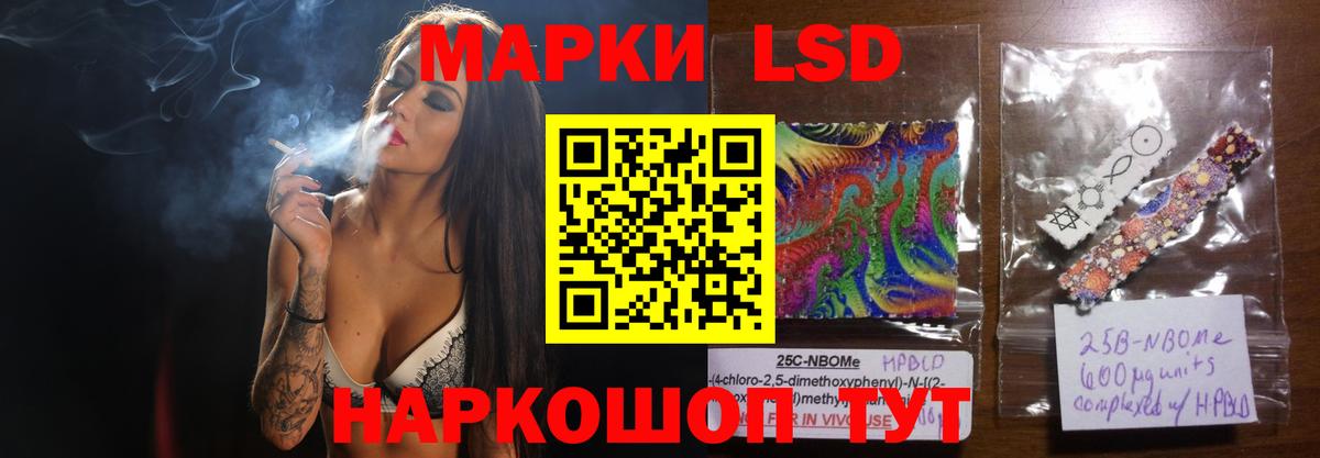 APVP Котлас