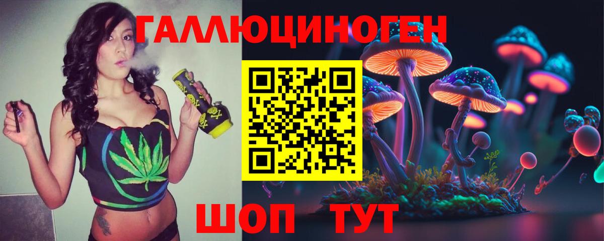 Котлас  Галлюциногенные грибы Magic Shrooms  цена наркотик  Галлюциногенные грибы Magic Shrooms  Вход с VPN 